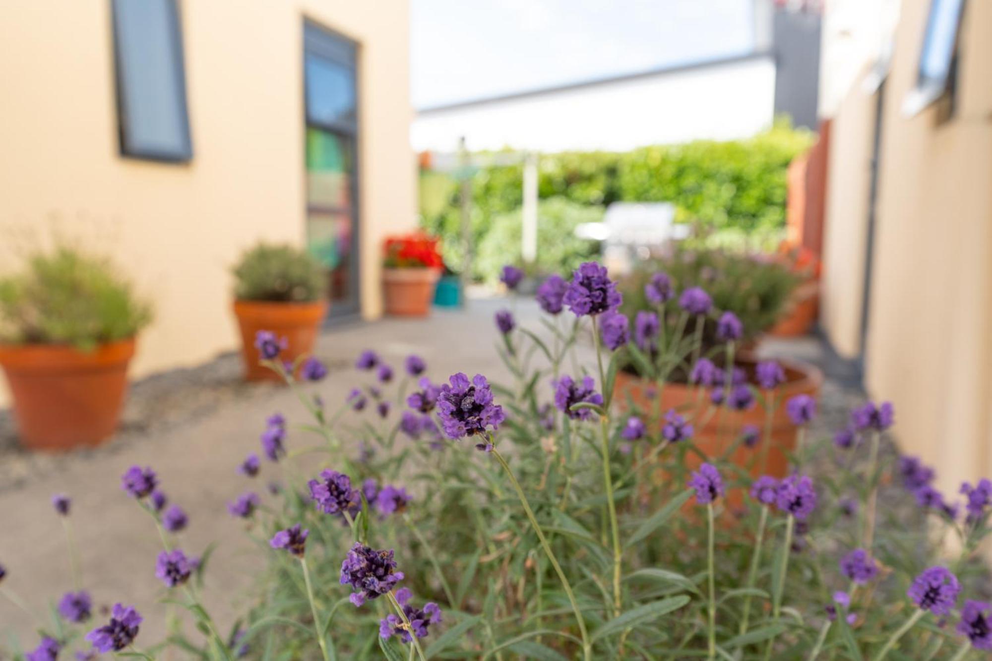 Bella Vista Motel Ashburton Luaran gambar